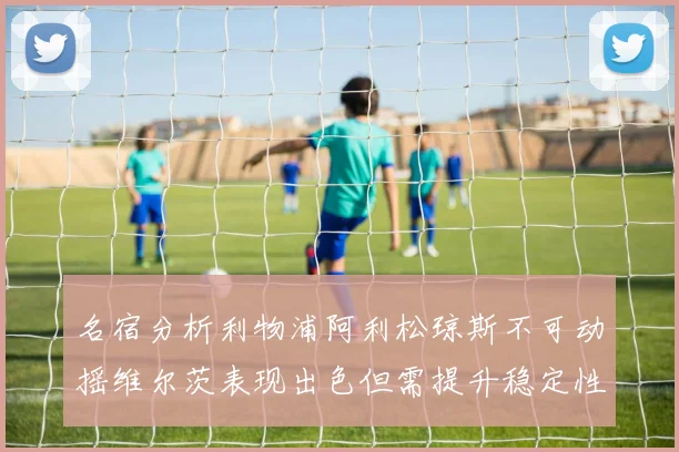 名宿分析利物浦阿利松琼斯不可动摇维尔茨表现出色但需提升稳定性